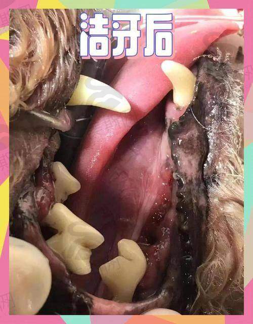 贵州贵阳市牙博士口腔医院团队介绍