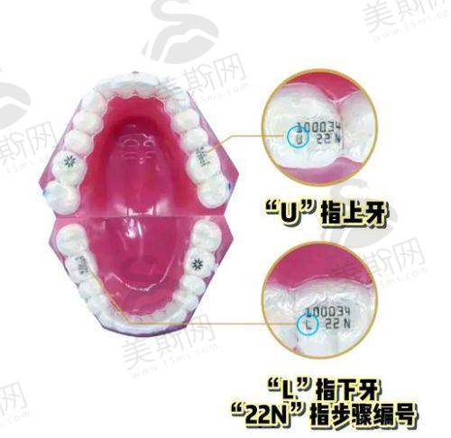 综合实力解析