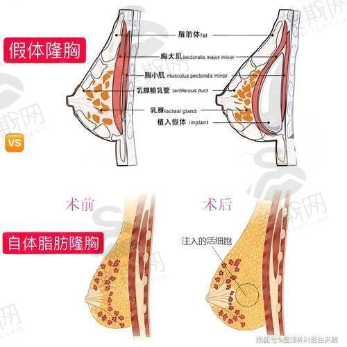 韩国来丽Larre整形外科医院地址电话