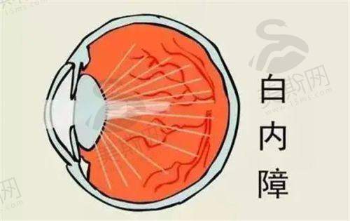 畅立斌医生坐诊哪个医院?