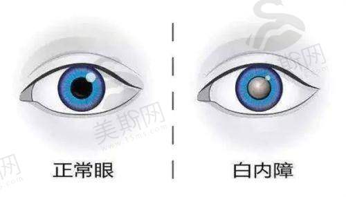 辽中区人民医院眼科团队介绍