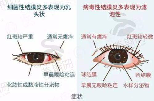 褚仁远医生预约挂号方式