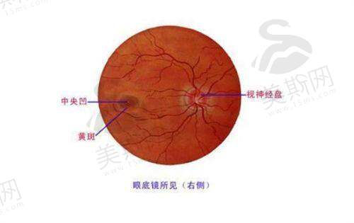 赣南医学校第一附属医院眼科预约挂号