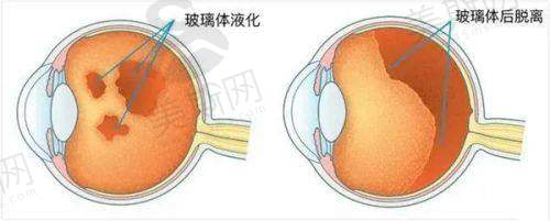 乔彤主事医师坐诊哪个医院？