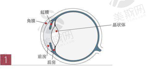 广东省第二人民医院眼科团队介绍