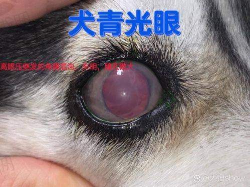 康平县人民医院眼科医院团队介绍