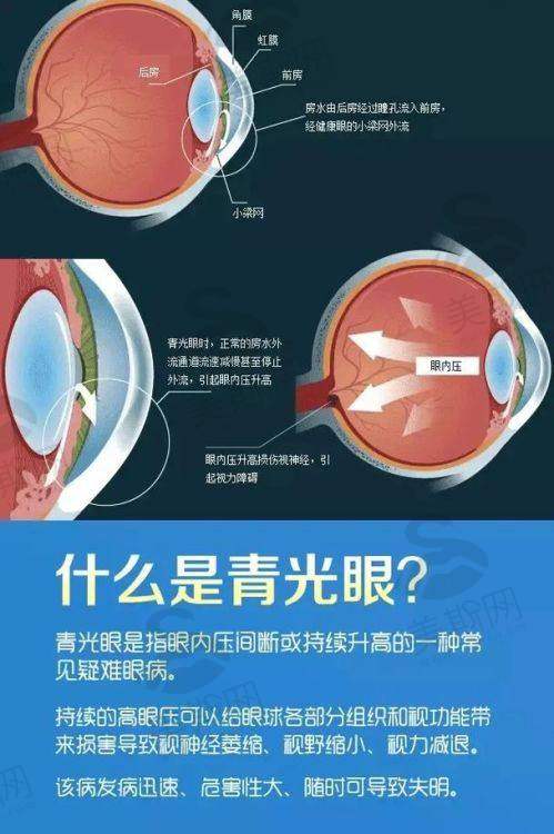 深圳市眼科医院团队介绍