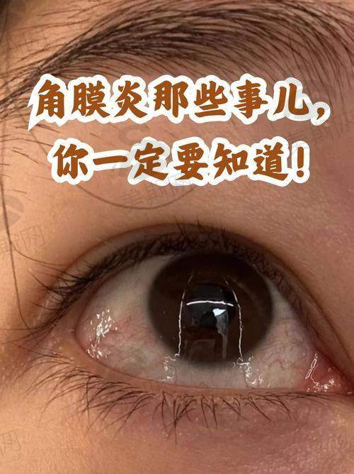 西安西 京医院眼科团队介绍