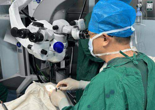 华中科技大学协和深圳医院眼科预约挂号