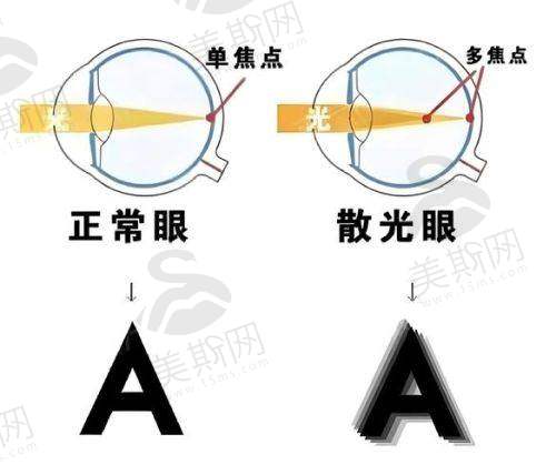 北部战区总医院（浑南分院）眼科团队介绍