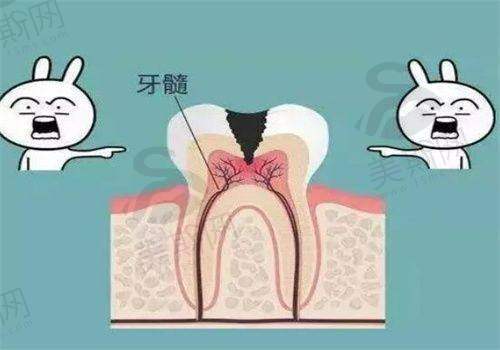 广东广州柏德口腔(海珠院区)预约挂号