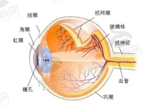 保定市第一中 心医院眼科预约挂号时间