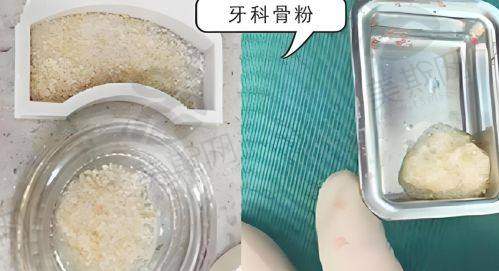 高丽医生预约挂号