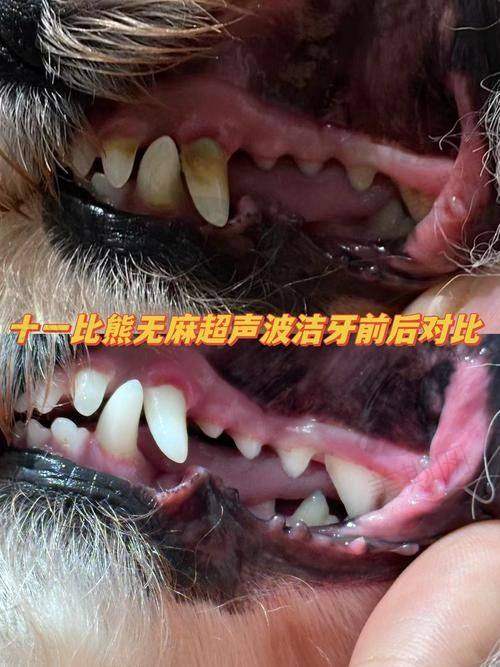 江西九江中山口腔医院预约挂号