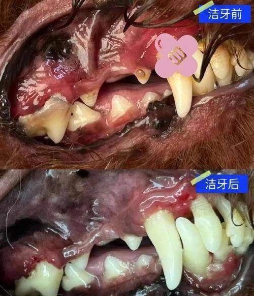新疆乌鲁木齐优佳贝口腔医院特色技术