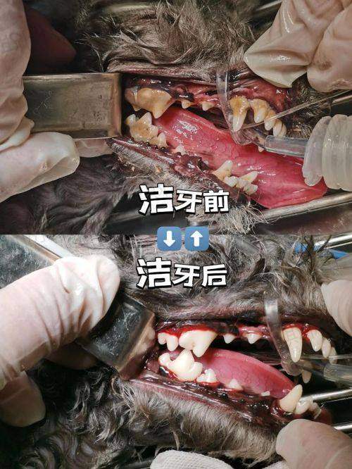 成都橙奕口腔医院价格表