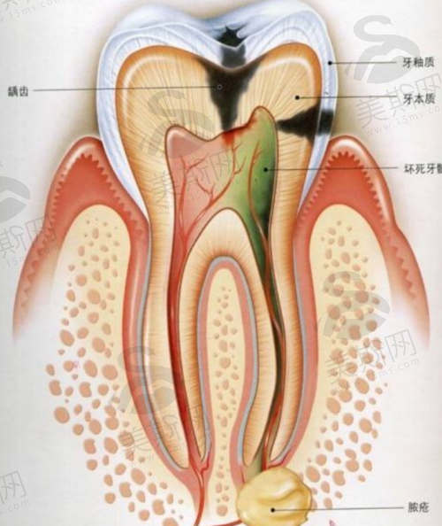 大连甘井子康贝佳口腔门诊部团队介绍