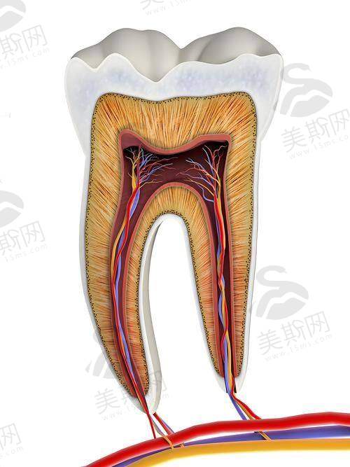 重庆江津津诚口腔医院特色技术