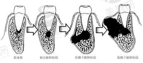 王鹏医生执业荣誉