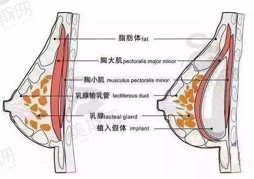 总结