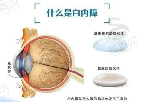 孔祥梅医生坐诊哪个医院?