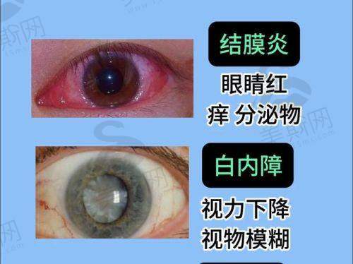 刘小伟医生技术水平高:五大核心技术优势解析