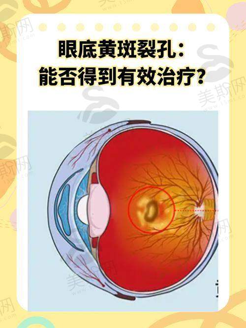 刘小伟医生预约挂号方式