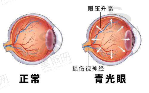 张舒心医生价格表(2025年全新)