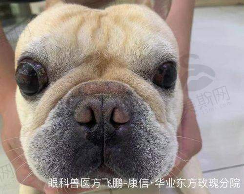孔祥梅医生口碑评价及反馈内容