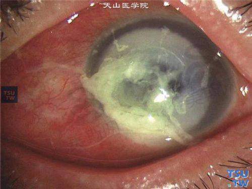 徐建江医生2025年价格表