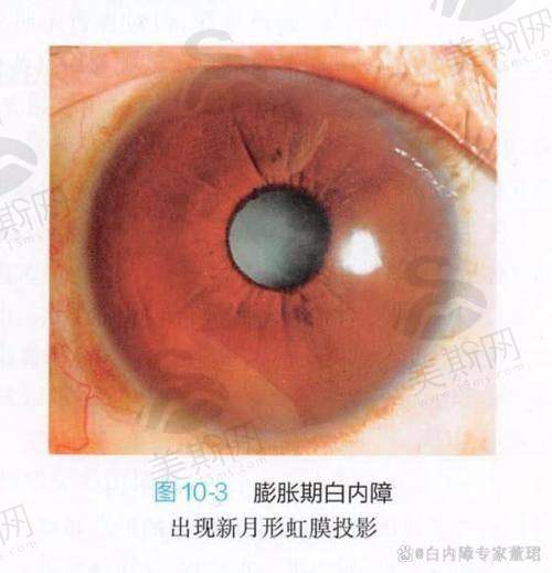 五、科研与临床深度融合,技术成果转化效率突出