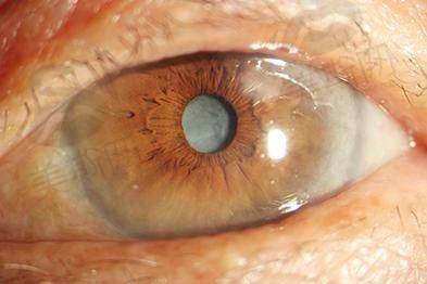 江睿医生价格表（2025年全新）