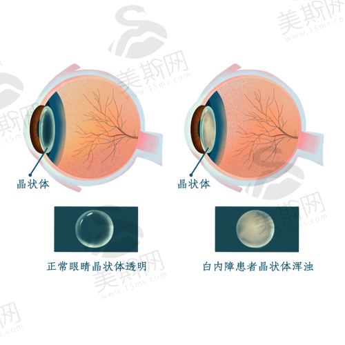 徐格致医生是哪里人?