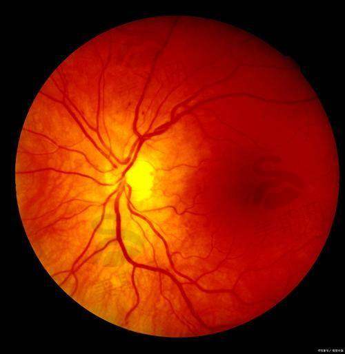 陈玲医生坐诊哪个医院？