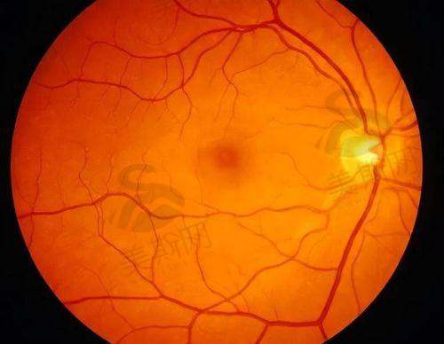 徐格致医生预约挂号