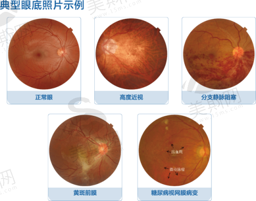 刘卫医生预约挂号:3种方式,便捷就医