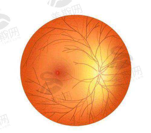 徐格致医生坐诊哪个医院?