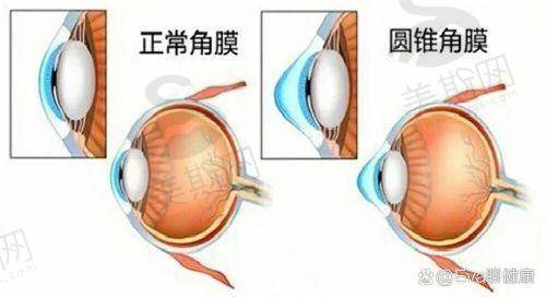 徐建江医生预约挂号方式