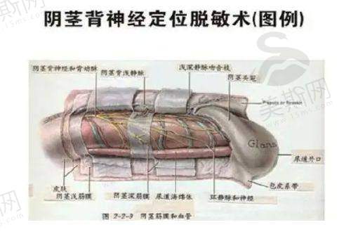 总结