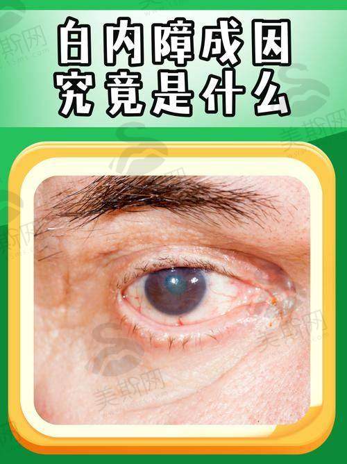 上海市第一人民医院眼科医院特色技术