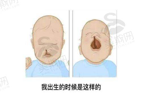 夏有辰主事医师擅长项目