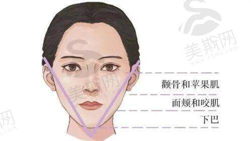 李东宇医生预约挂号