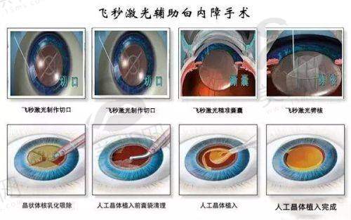 七、肖强医生2025年全新价格表