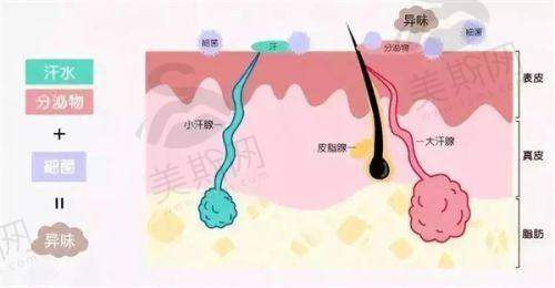 张小芸医生预约挂号