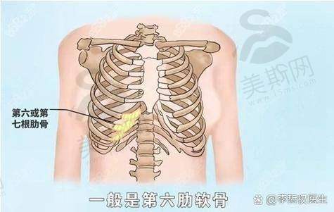 欧阳春医生擅长项目