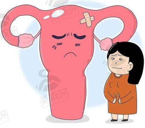 肖璇医生执医荣誉与资质认证