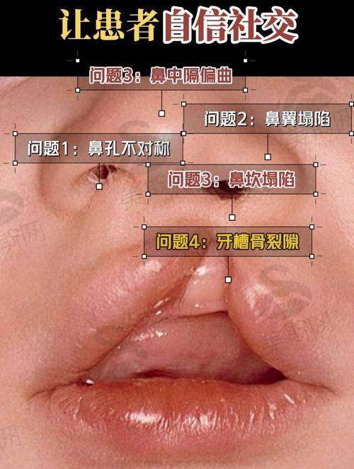 夏有辰主事医师价格表(2025年全新)