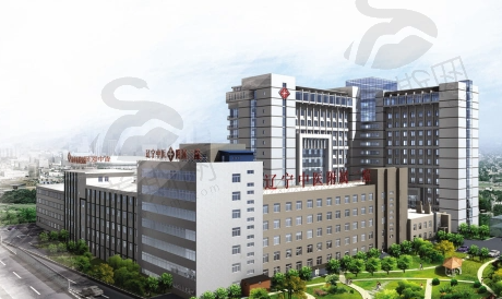 辽宁中医药大学附属第二医院眼科