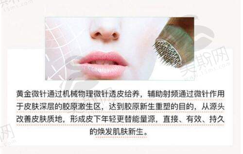预约信息总结