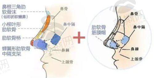 总结